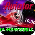 antigua hawksbill Games (Casino & Earning) Gold v5.9.3