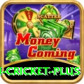 australian cricket - Casino King