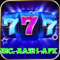 bbl big bash apk Deluxe Pro v4.7.9