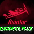 bingopkr Apps (Tools & Injectors) Premium v1.3.9
