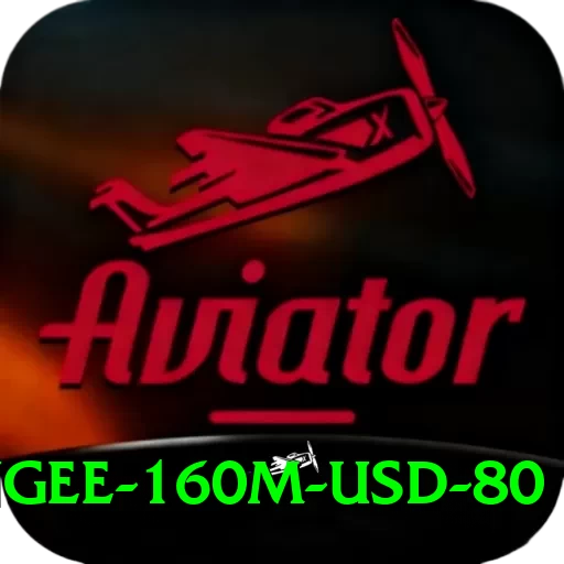 bungee 160m usd 80 Apps (Tools & Injectors) VIP v1.0.9 - 2
