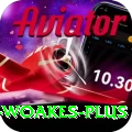 chris woakes Bonus Plus v4.3.6