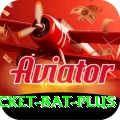 cricket bat Live Extreme v4.9.1