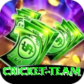 cricket team Turbo Pro v1.3.9