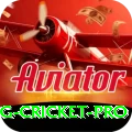eng cricket Slots Deluxe v3.5.2