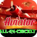 fastest ball in cricket Deluxe v5.9.3