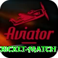 india bangladesh cricket match Deluxe Edition v2.4.0