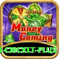 india bangladesh cricket Live Casino King