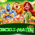 india cricket match Pro1 v5.3.2