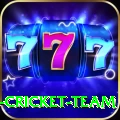 ireland cricket team Plus Edition v4.3.6