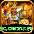 make money betting cricket pk Premium Edition v1.1.9