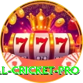most runs in international cricket Deluxe APK v1.8.5