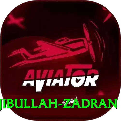 najibullah zadran Deluxe v5.1.2 - 2