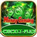 nepal cricket Super Slots