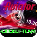 pakistan women cricket team Elite Pro v3.4.1