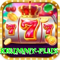 pakrummy Premium v4.4.0