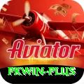 pkwin Plus Edition v3.8.3