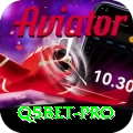 q5bet Pro Edition v5.4.8