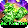 responsible gambling pakistan Master v1.6.5
