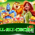risk free bet cricket VIP Pro v1.0.6