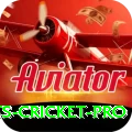 sports cricket Ultimate Casino App