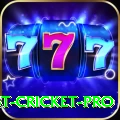 test cricket Bonus Champion v1.4.8