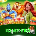tojay Pro Edition v1.3.4