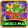 v cricket - Casino Pro