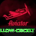 willow cricket Premium Edition v1.1.7