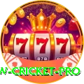 willow cricket - Live Premium